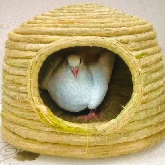 Hollister Woven Straw Pet Hideout - Natural Tan - Picture 1 of 1